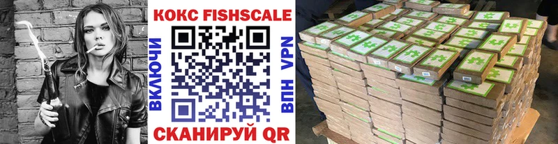 Cocaine Fish Scale  Купить  Калтан 