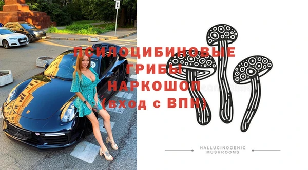 эйфоретик Алзамай