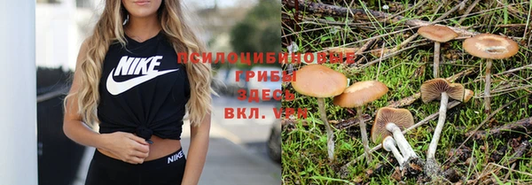 эйфоретик Алзамай