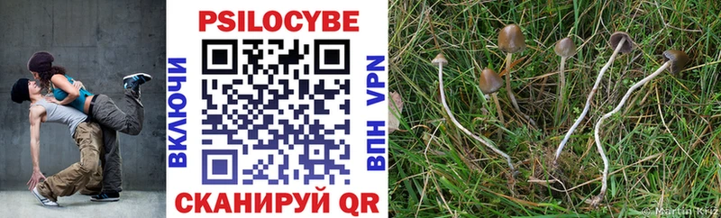 Псилоцибиновые грибы мицелий  Купить  Калтан 